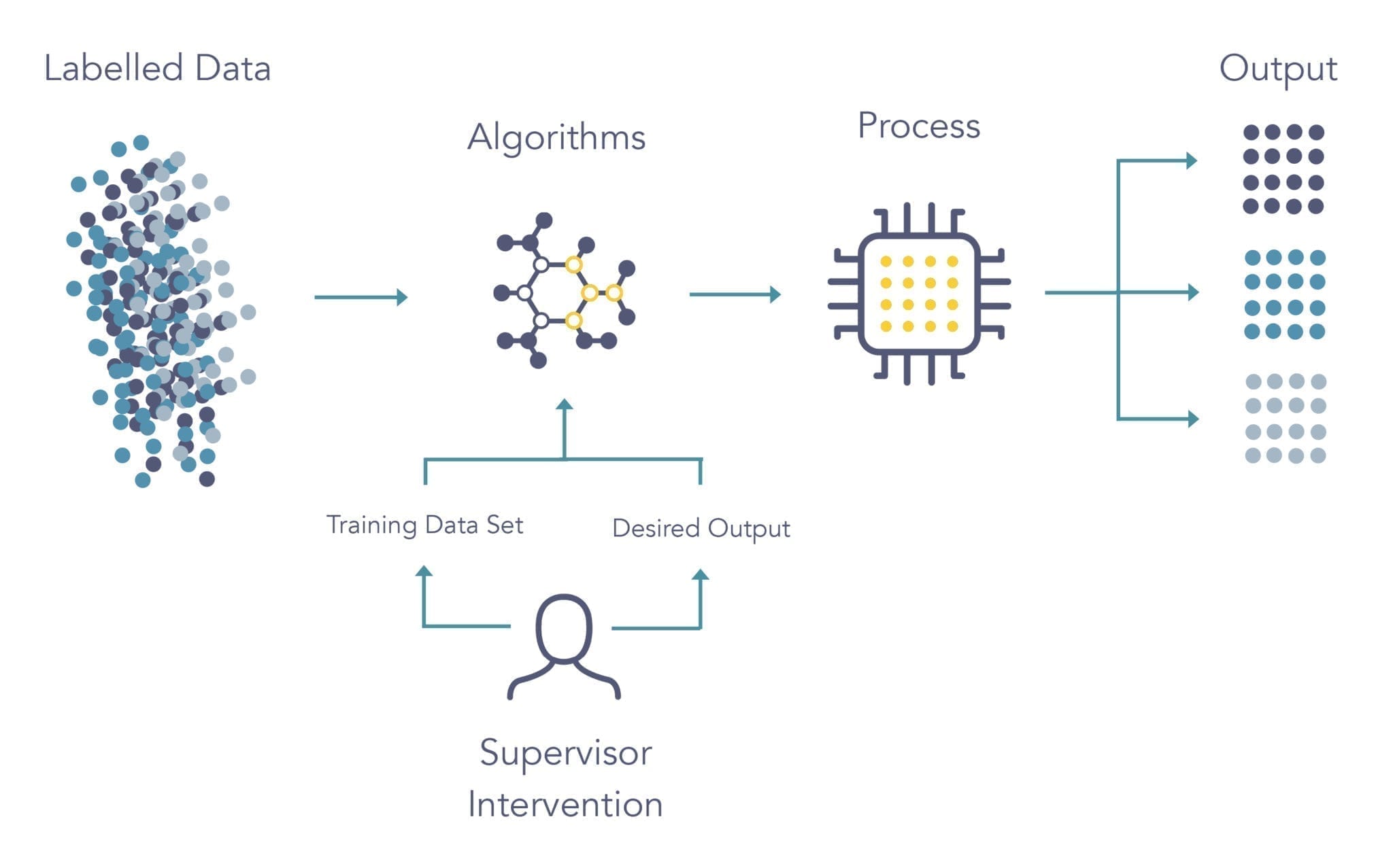 Machine Learning infographic