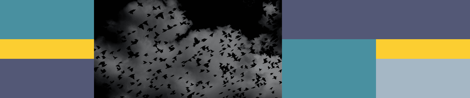 PrintNightmare dark sky flying birds