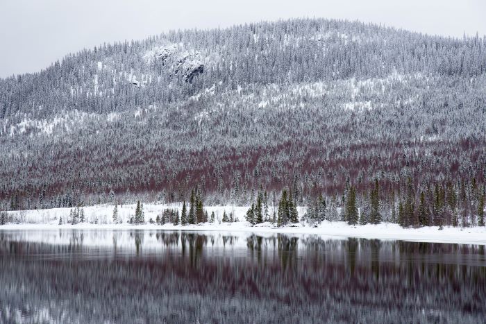 How Region Jämtland Härjedalen uses Logpoint How Region Jämtland Härjedalen uses Logpoint