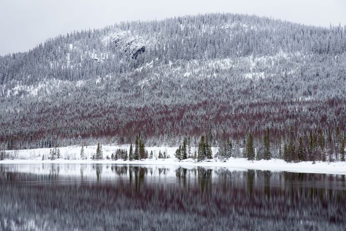 How Region Jämtland Härjedalen uses Logpoint