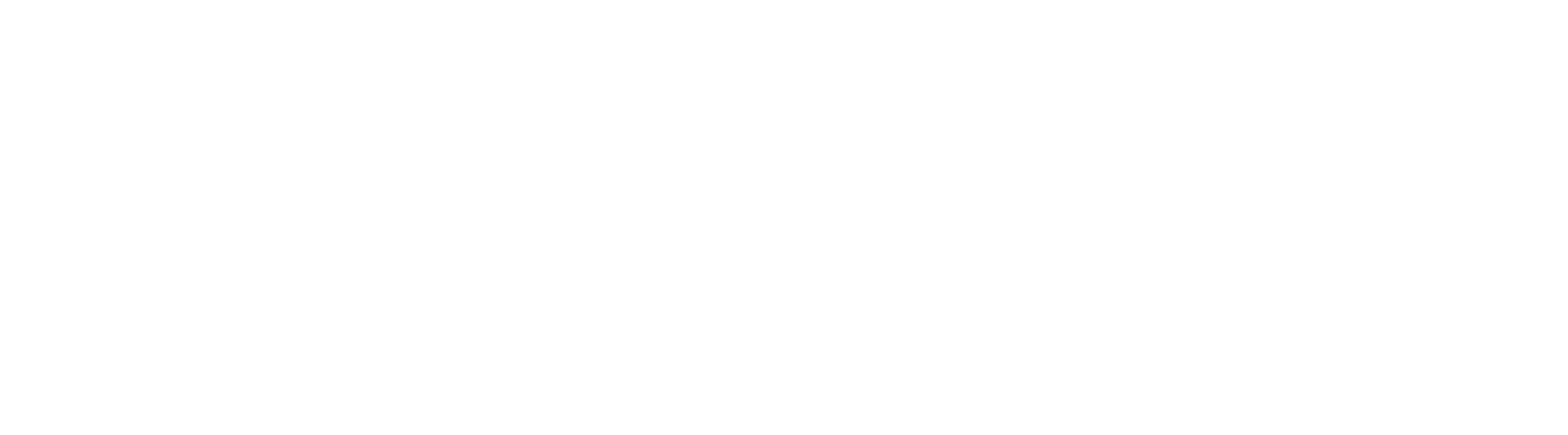 baskentgaz-logo-white